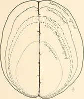 An illustration from Men of the old stone age : their environment, life and art (1915)
