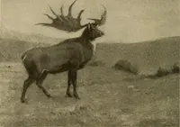 An illustration from Men of the old stone age, their environment, life and art (1915)