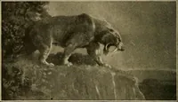 Picture 29 of 268 from Men of the old stone age, their environment, life and art (1915), leaf 105