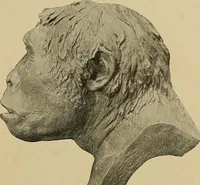 An illustration from Men of the old stone age, their environment, life and art (1915)