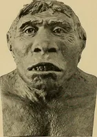 Picture 39 of 268 from Men of the old stone age, their environment, life and art (1915), leaf 117