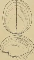 Picture 41 of 268 from Men of the old stone age, their environment, life and art (1915), leaf 119