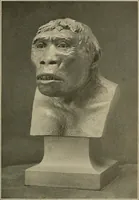 Picture 42 of 268 from Men of the old stone age, their environment, life and art (1915), leaf 122