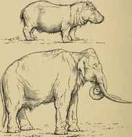 An illustration from Men of the old stone age, their environment, life and art (1915)