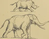 An illustration from Men of the old stone age, their environment, life and art (1915)