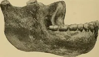 Picture 48 of 268 from Men of the old stone age, their environment, life and art (1915), leaf 133