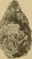 Picture 58 of 268 from Men of the old stone age, their environment, life and art (1915), leaf 156
