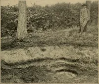 Picture 63 of 268 from Men of the old stone age, their environment, life and art (1915), leaf 166
