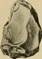 Picture 65 of 268 from Men of the old stone age, their environment, life and art (1915), leaf 169