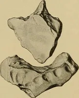Picture 67 of 268 from Men of the old stone age, their environment, life and art (1915), leaf 170