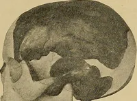 Picture 69 of 268 from Men of the old stone age, their environment, life and art (1915), leaf 172