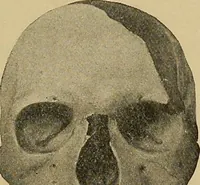An illustration from Men of the old stone age, their environment, life and art (1915)