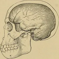 An illustration from Men of the old stone age, their environment, life and art (1915)