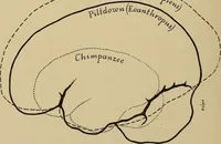 Picture 73 of 268 from Men of the old stone age, their environment, life and art (1915), leaf 175