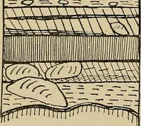 Picture 84 of 268 from Men of the old stone age, their environment, life and art (1915), leaf 199