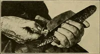 Picture 87 of 268 from Men of the old stone age, their environment, life and art (1915), leaf 205