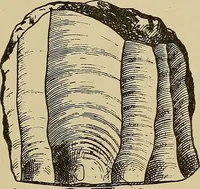 Picture 88 of 268 from Men of the old stone age, their environment, life and art (1915), leaf 206