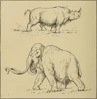 Picture 96 of 268 from Men of the old stone age, their environment, life and art (1915), leaf 225