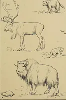 Picture 97 of 268 from Men of the old stone age, their environment, life and art (1915), leaf 228