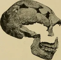 An illustration from Men of the old stone age, their environment, life and art (1915)