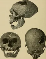 Picture 111 of 268 from Men of the old stone age, their environment, life and art (1915), leaf 259