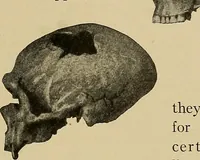 An illustration from Men of the old stone age, their environment, life and art (1915)