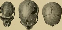 Picture 116 of 268 from Men of the old stone age, their environment, life and art (1915), leaf 266