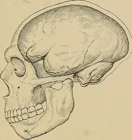 An illustration from Men of the old stone age, their environment, life and art (1915)