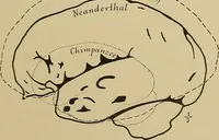 Picture 118 of 268 from Men of the old stone age, their environment, life and art (1915), leaf 270