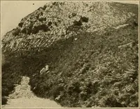 Picture 128 of 268 from Men of the old stone age, their environment, life and art (1915), leaf 281