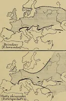 Picture 143 of 268 from Men of the old stone age, their environment, life and art (1915), leaf 320