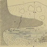Picture 147 of 268 from Men of the old stone age, their environment, life and art (1915), leaf 326