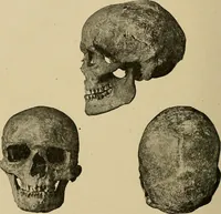 Picture 148 of 268 from Men of the old stone age, their environment, life and art (1915), leaf 327