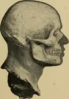 Picture 149 of 268 from Men of the old stone age, their environment, life and art (1915), leaf 328