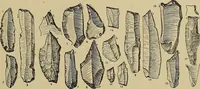 Picture 155 of 268 from Men of the old stone age, their environment, life and art (1915), leaf 342
