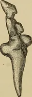 Picture 164 of 268 from Men of the old stone age, their environment, life and art (1915), leaf 356