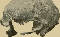 Picture 172 of 268 from Men of the old stone age, their environment, life and art (1915), leaf 370