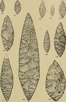 Picture 174 of 268 from Men of the old stone age, their environment, life and art (1915), leaf 374