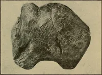 Picture 178 of 268 from Men of the old stone age, their environment, life and art (1915), leaf 384