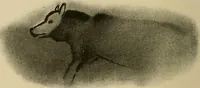 An illustration from Men of the old stone age, their environment, life and art (1915)