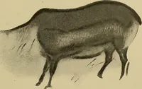 An illustration from Men of the old stone age, their environment, life and art (1915)