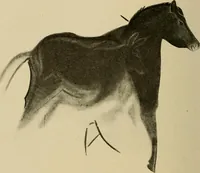 An illustration from Men of the old stone age, their environment, life and art (1915)