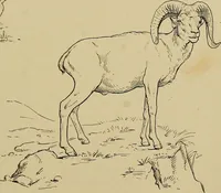 An illustration from Men of the old stone age, their environment, life and art (1915)