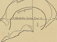 Picture 2 of 268 from Men of the old stone age, their environment, life and art (1915), leaf 41