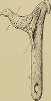 Picture 193 of 268 from Men of the old stone age, their environment, life and art (1915), leaf 412