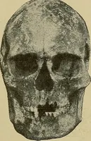 Picture 195 of 268 from Men of the old stone age, their environment, life and art (1915), leaf 418