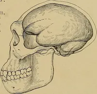 An illustration from Men of the old stone age, their environment, life and art (1915)