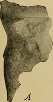 Picture 4 of 268 from Men of the old stone age, their environment, life and art (1915), leaf 44