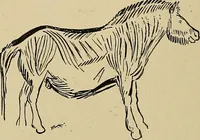 An illustration from Men of the old stone age, their environment, life and art (1915)