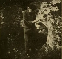 Picture 220 of 268 from Men of the old stone age, their environment, life and art (1915), leaf 448